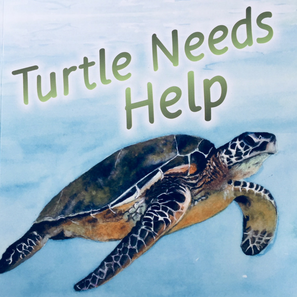 Turtle Needs Help